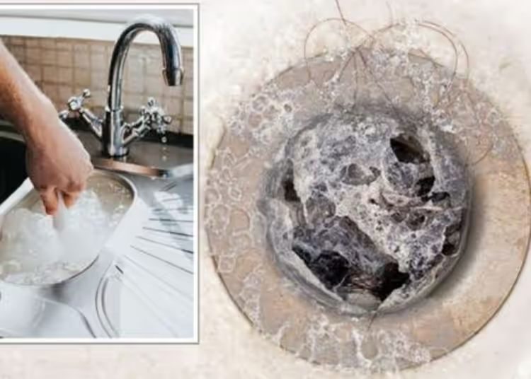 3 Tipps zum Befreien Ihrer Rohre von Verstopfungen