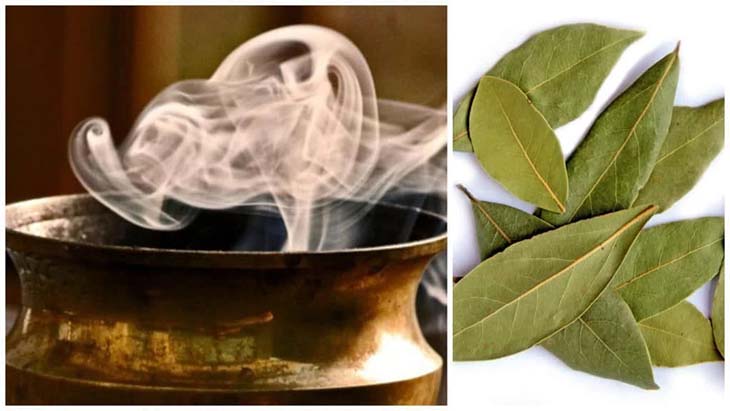 3 hojas de laurel bastan para perfumar la casa en invierno 3 quemar las hojas de laurel