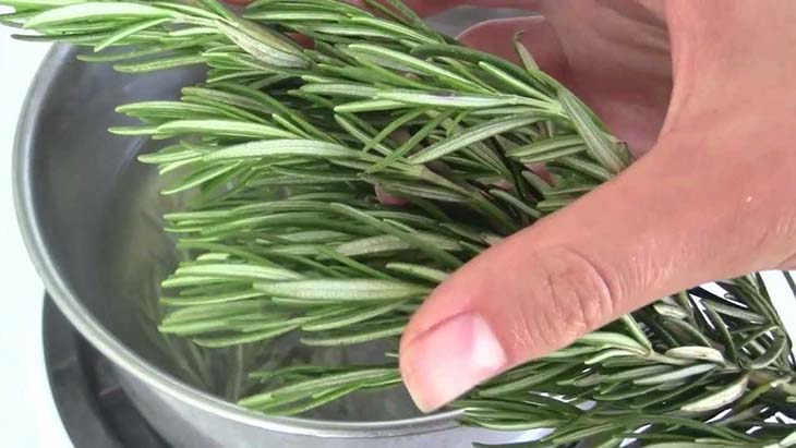 3 natürliche Masken zum Färben von grauem Haar ohne den Einsatz von Chemikalien 3 Rosmarin