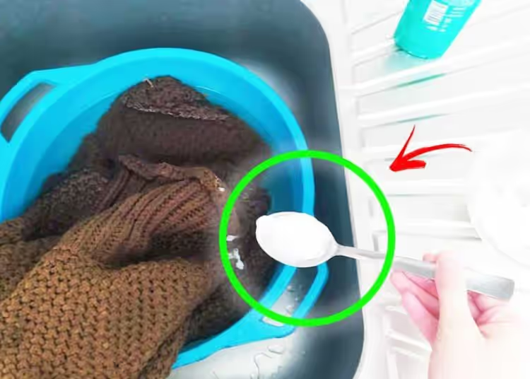 5 Tipps zum Weichmachen von Filzwolle zu Hause: Entdecken Sie sie jetzt!