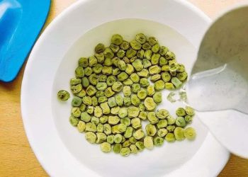 5 gute Gründe, Samen vor dem Pflanzen in Wasser zu legen