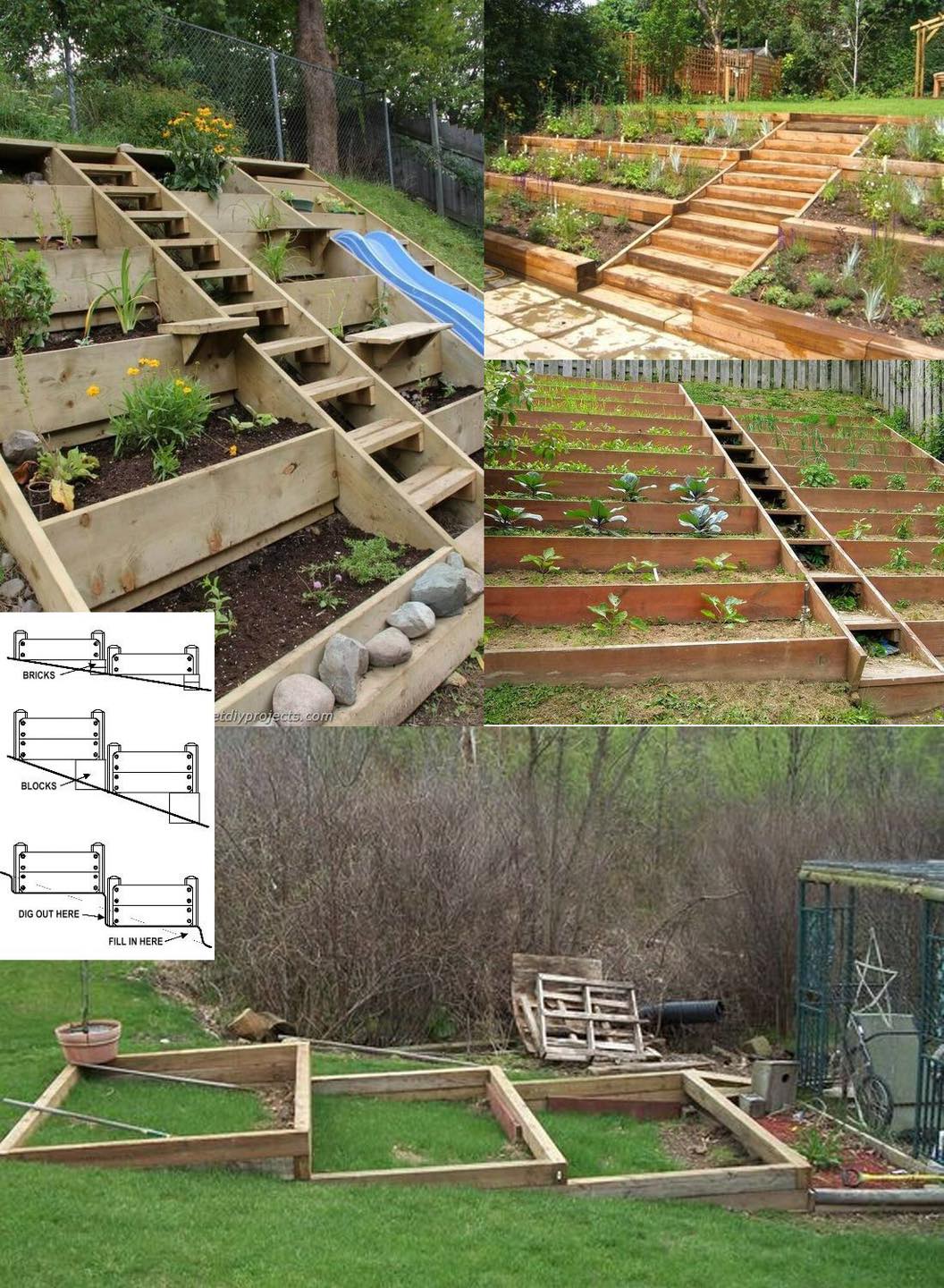 5 idee brillanti per trasformare un pendio in un giardino produttivo