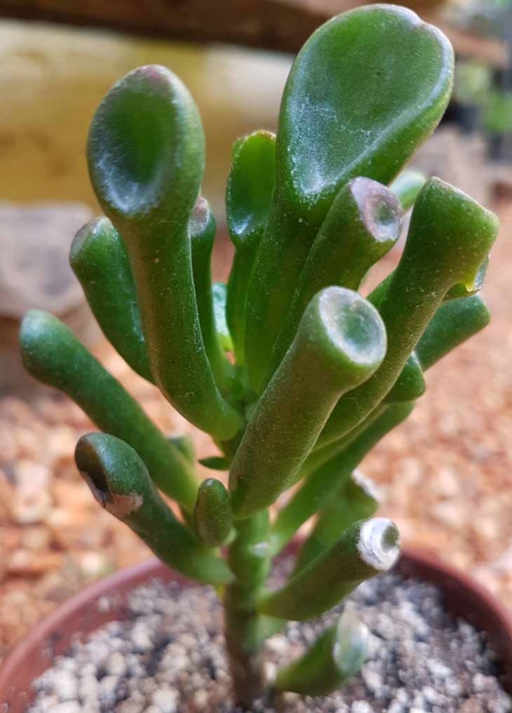 Positives Energiesystem - Quelle: spm