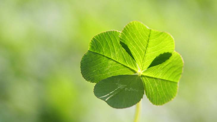 Glück anziehen – Quelle: spm