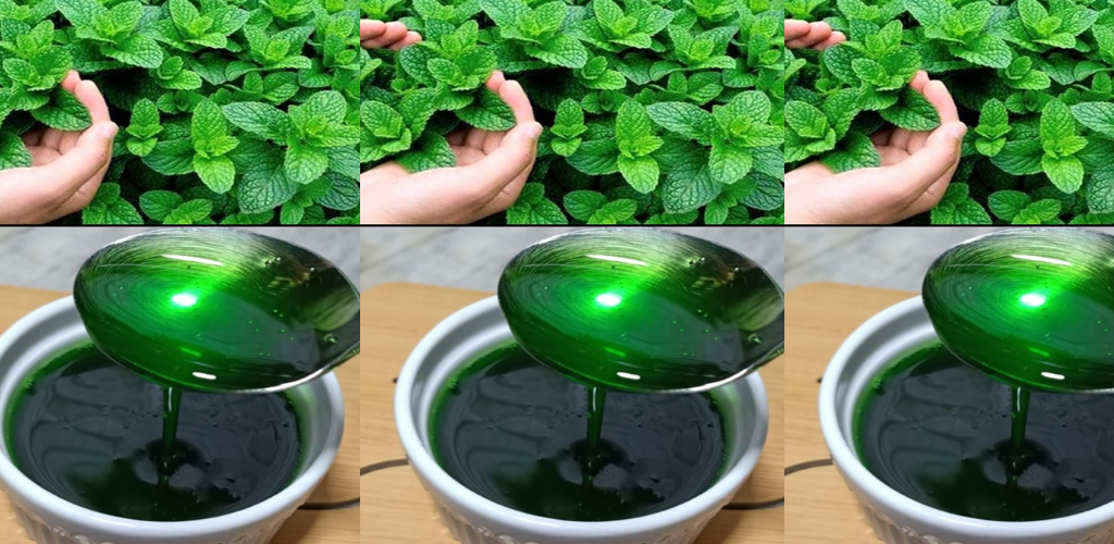 8 unglaubliche Gründe, zu Hause Minze anzubauen