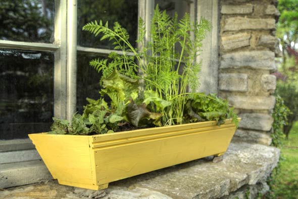 Anbau eines Gemüsegartens in einem Topf für Fenster oder Balkone