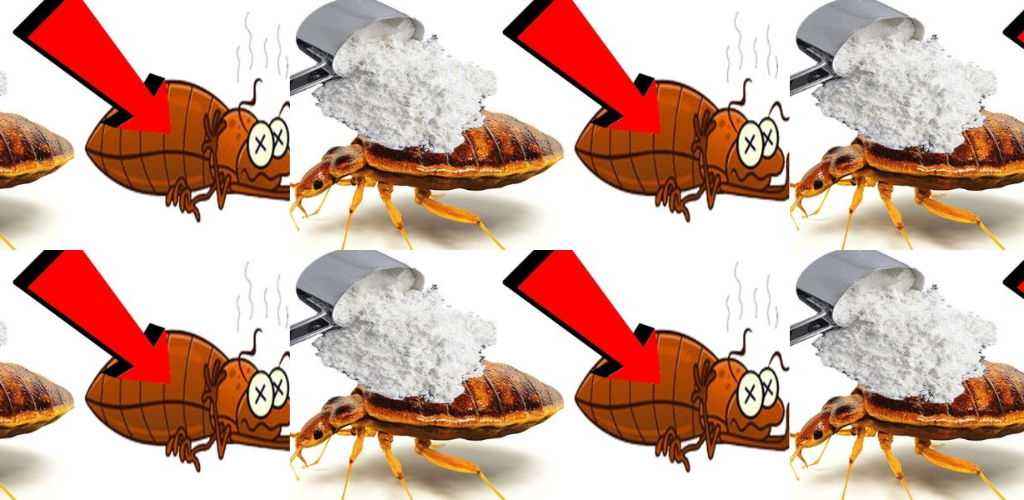 Auf Wiedersehen mit Bettwanzen im Garten, außer chemischen Insektiziden: Sie schwimmen sofort