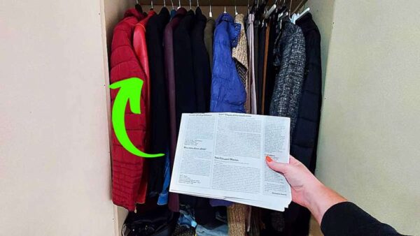 Aus den Schränken riecht es stickig, der Trick des Lakens, um schlechte Gerüche zu entfernen