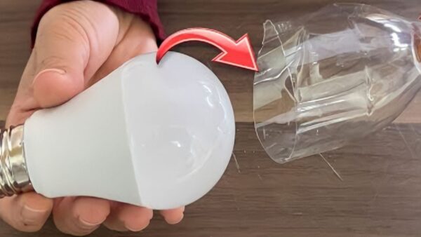 Ausgebrannte Glühbirne, nicht wegwerfen: Das Geheimnis der Elektriker, sie zu reparieren