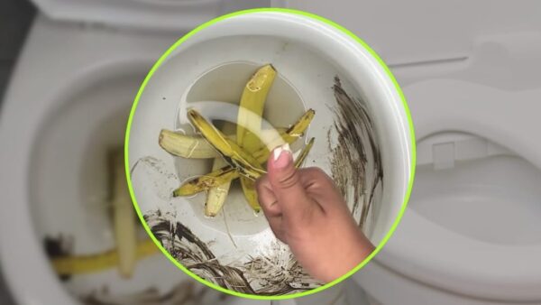 Bananenschale in der Toilette, wenn Sie Bleichmittel versuchen, werden Sie es nicht mehr kaufen: formidabel