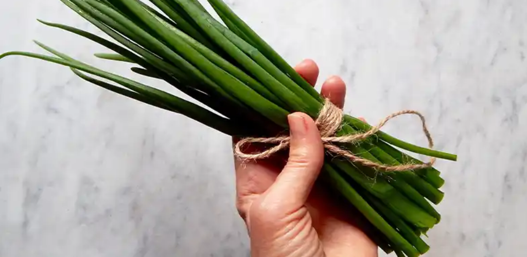 Bauen Sie Frühlingszwiebeln ohne Gartenerde an – Ernten Sie bis zu 6 Monate lang alle 2 Wochen