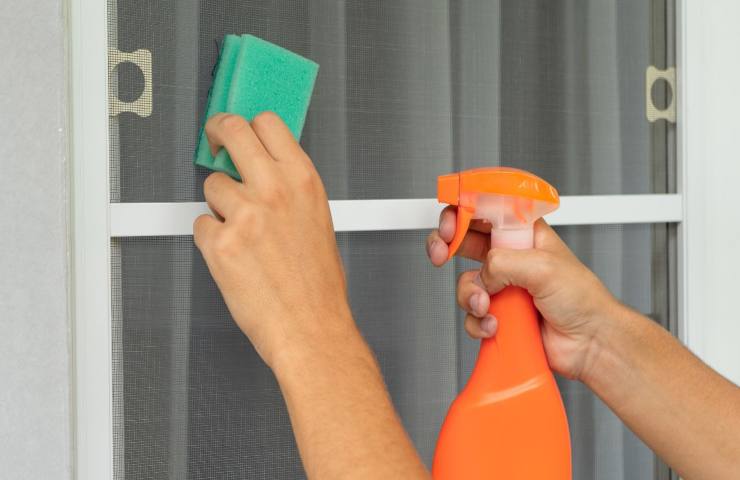 wie man Moskitonetze reinigt