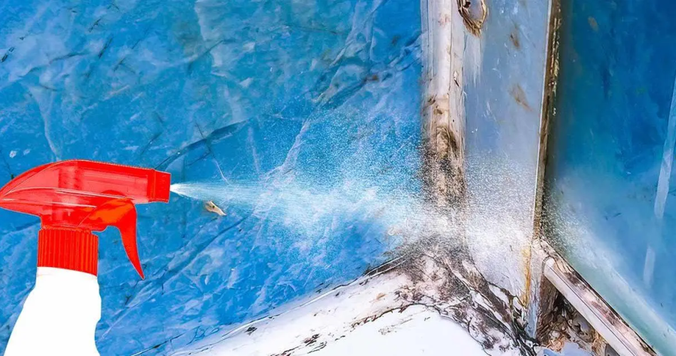 Beseitigen Sie mit diesem Trick den gesamten Schimmel in Ihrem Badezimmer – er wird nicht wiederkommen