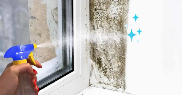 Besprühen Sie Ihr Fensterbrett mit einer 1-Dollar-Mischung. Schimmel wird für immer verschwinden, ohne dass Sie schrubben müssen