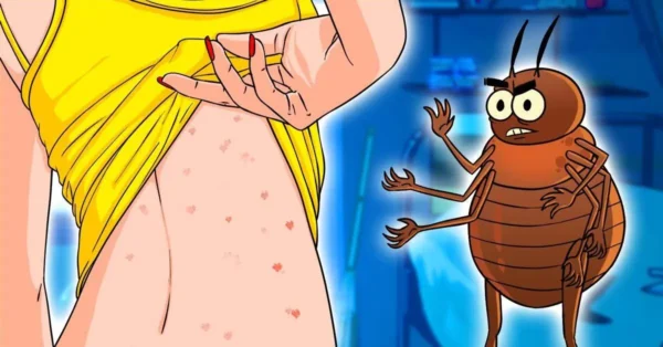 Bettwanzen zu Hause? Der unfehlbare Trick, um es loszuwerden und Ihre Matratze frisch und sauber zu hinterlassen