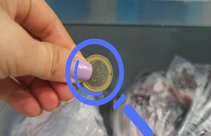 Bevor Sie gehen, legen Sie eine Münze in den Gefrierschrank, Sie werden es nicht bereuen!