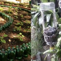 Blumenbeete aus Plastikflaschen anbauen (10 Fotos)!