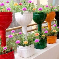 Bunte Töpfe aus Plastikflaschen – für kleine Gärten und Balkone!
