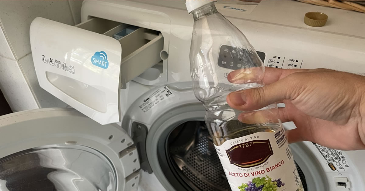 Come pulire la lavatrice a fondo per evitare che lasci pelucchi sui vestiti: 3 trucchi infallibili