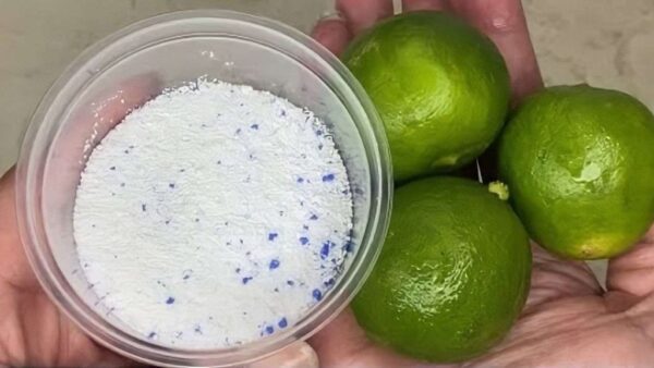 Das Badezimmer wird mit dieser natürlichen Methode nie schmutzig und riecht ständig