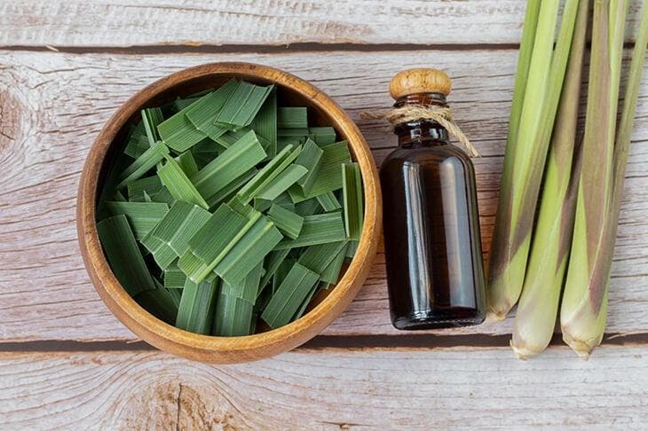 Das natürliche Abwehrrezept, um zu verhindern, dass Hunde vor Ihrem Haus urinieren 3 Zitronengrasblätter und ätherisches Zitronengrasöl