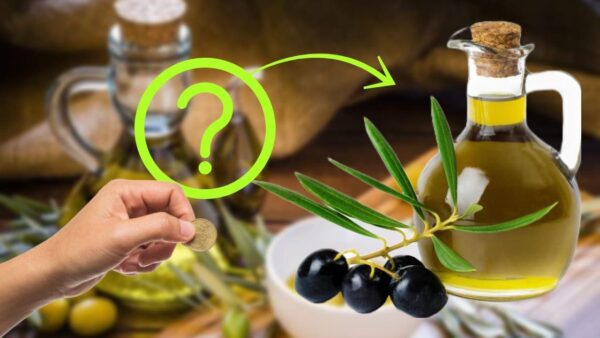 Das beste Olivenöl, das einzige ohne Spuren von Pestiziden: Es kostet sehr wenig