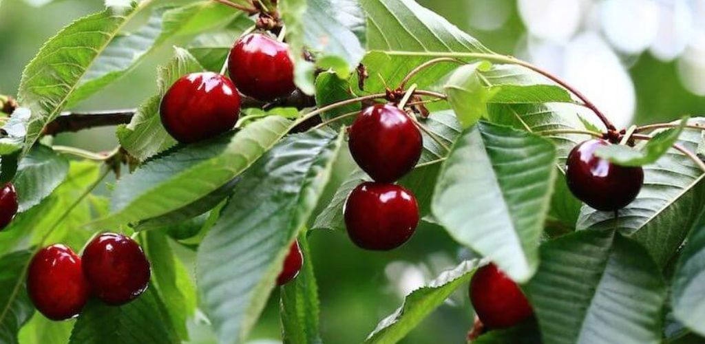 Das könnte Ihnen auch gefallen