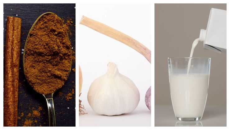 Drei Zutaten für Fungizide