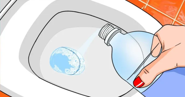 Der Flaschentrick, eine kostengünstige Möglichkeit, Toiletten zum Glänzen zu bringen