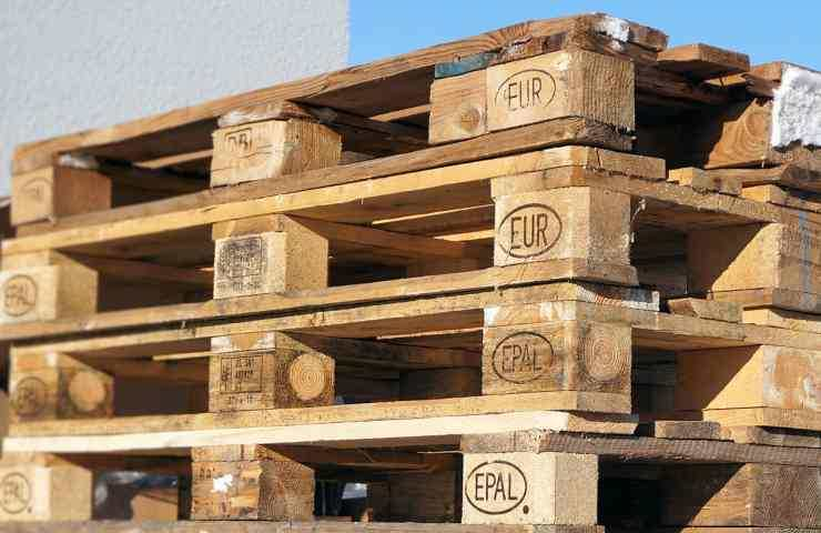 Der Gemüsegarten auf der Palette: einfach – schnell – wirtschaftlich