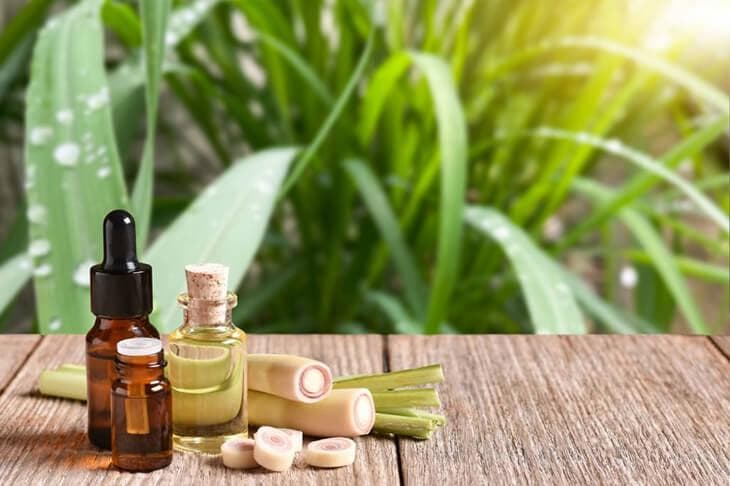 Ätherisches Zitronengrasöl 2