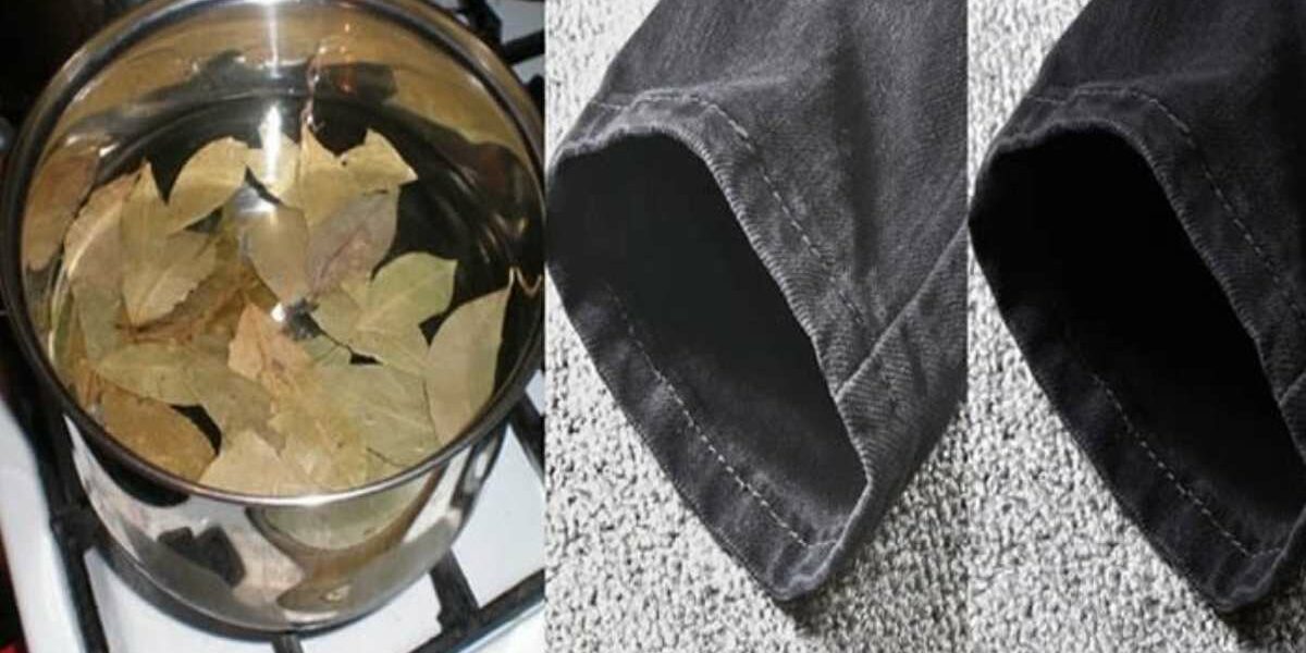 Der beste Heimwerkertipp mit Lorbeerblatt und Backpulver, um verblasste Wäsche zu retten!