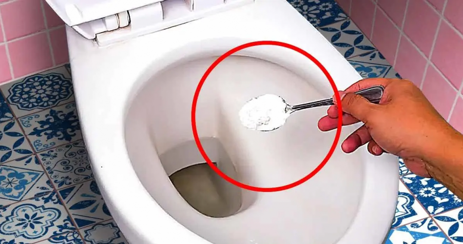 Der geniale Trick, Badezimmer zu reinigen und perfekt sauber zu machen