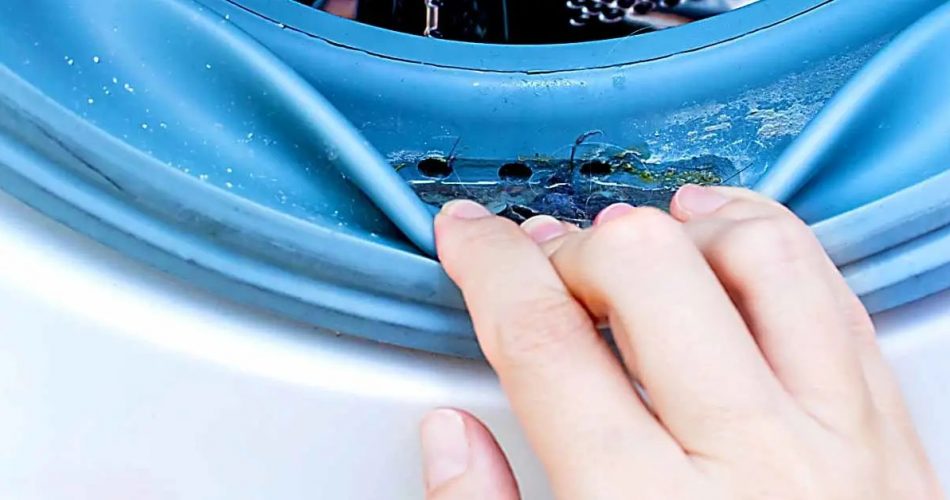 Der geniale Trick, um Waschmaschinenschimmel zu entfernen, der Ihre Kleidung befallen hat