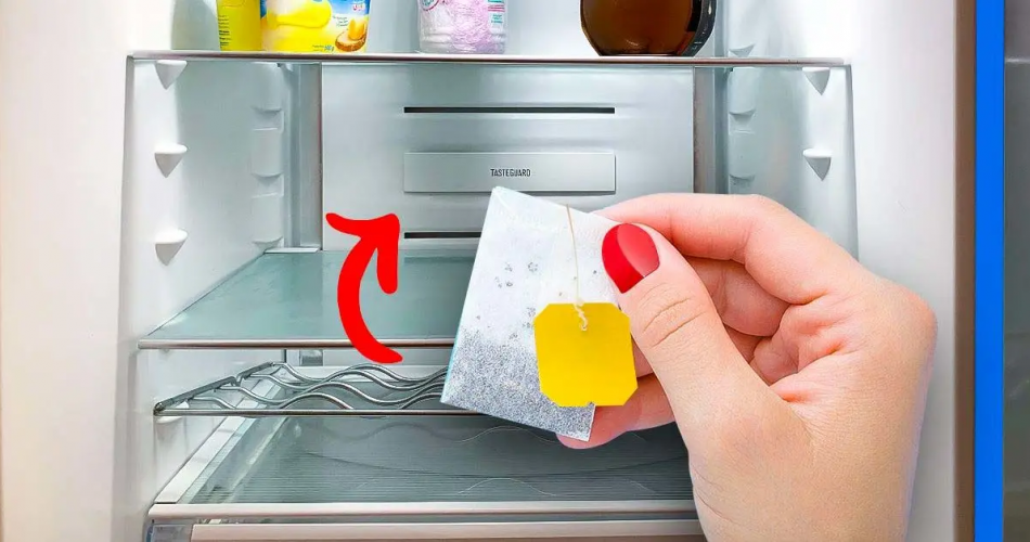 Der geniale Trick, um schlechte Gerüche aus dem Kühlschrank zu entfernen und einen guten Duft zu hinterlassen