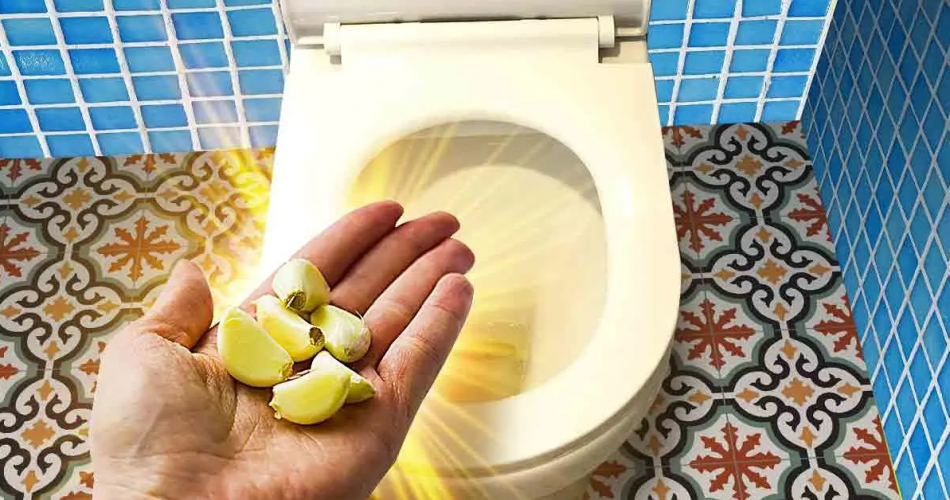 Deshalb spülen Sie einmal pro Woche eine Knoblauchzehe in die Toilette