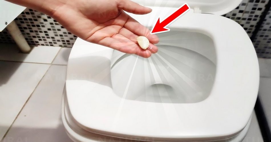 Deshalb spülen Sie einmal pro Woche eine Knoblauchzehe in die Toilette