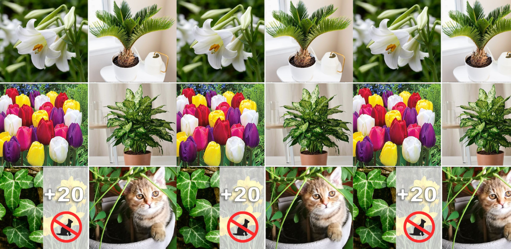 Die 20 häufigsten Giftpflanzen für Katzen