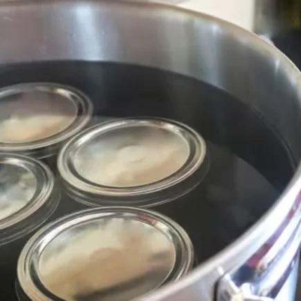 Die Art von Lebensmitteln, die niemals in kochendem Wasser eingemacht werden sollten