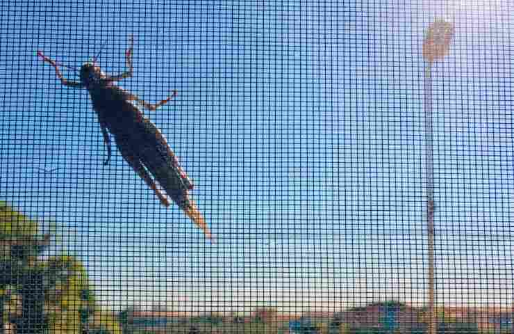 Installation eines Insekten-Moskitonetzes mit Magneten