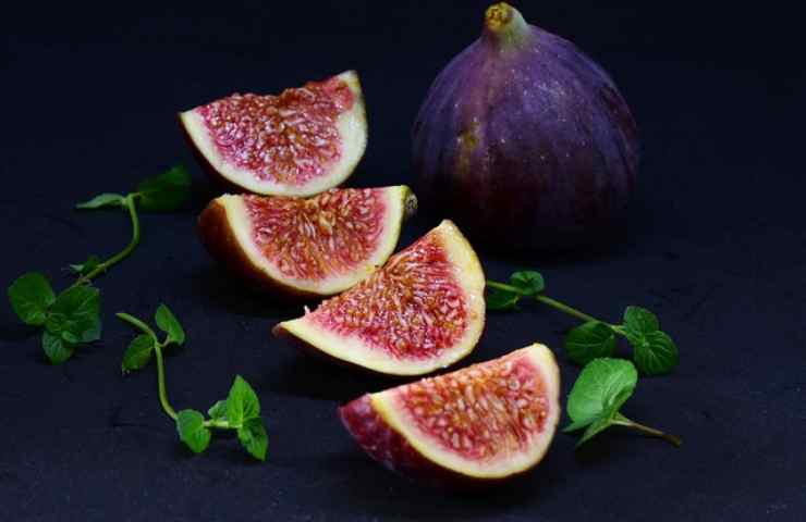 Feige keine Früchte