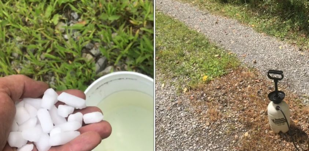 Die Methode zur natürlichen Beseitigung von Unkraut im Garten