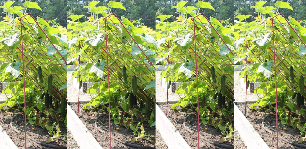 Die besten DIY-Spalier-Ideen für Ihren Garten 2023