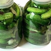 Die einfachste Art, Gurken einzulegen (für den Winter)!
