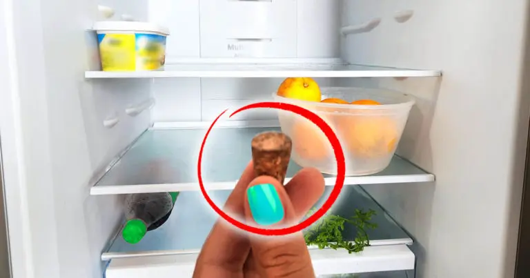 Die perfekte Lösung für dieses Küchenproblem ist es, einen Verschluss über Nacht im Kühlschrank zu lassen