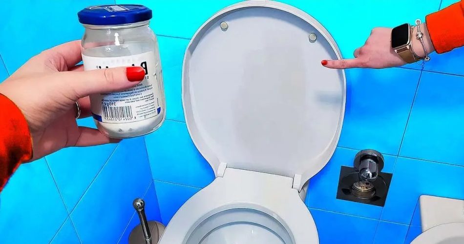 Diese Bereiche der Toiletten sind ein Nährboden für Bakterien, doch niemand reinigt sie