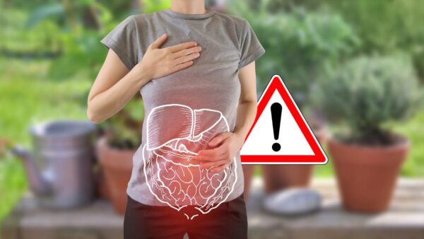 Diese sehr duftende Pflanze im Garten ist voller Gift: Beseitigen Sie sie sofort