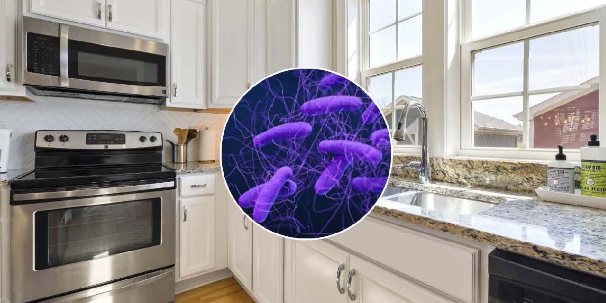 Dieser Gegenstand enthält 40.000 Mal mehr Bakterien als eine Toilette, selbst wenn sie in der Küche steht.