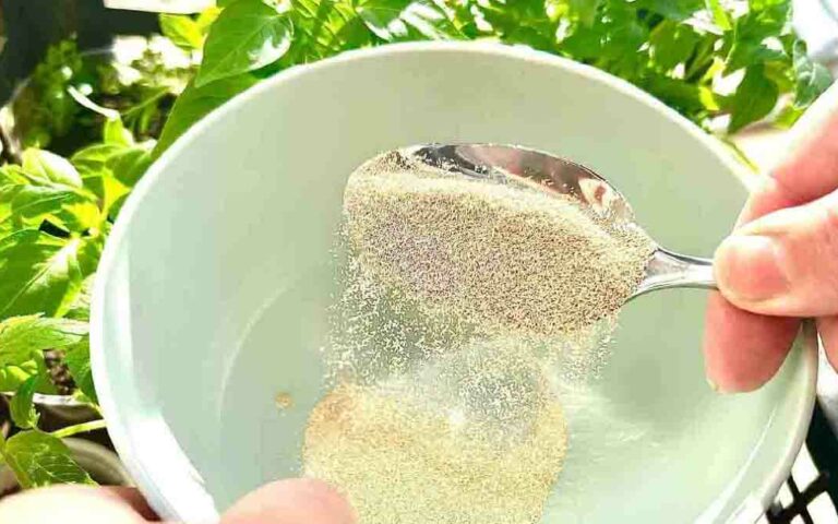 Dieses Wundermittel fördert das Wachstum von Setzlingen auf dem Balkon und in Ihrem Garten