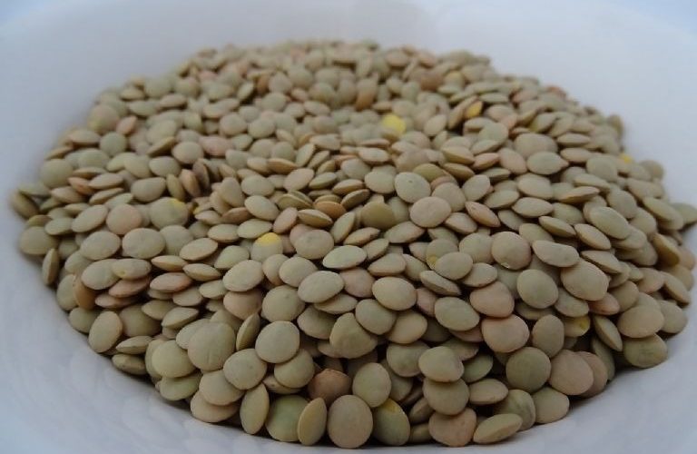 Effektiver hausgemachter Dünger, der alle Arten von Pflanzen zum Gedeihen bringt